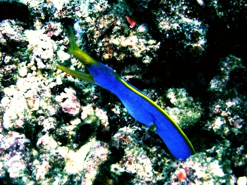 RIMG0123