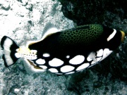 RIMG0073