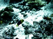 RIMG0086
