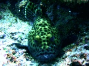 RIMG0092