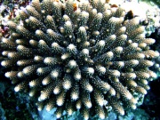 RIMG0112