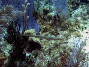 RIMG5768