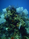 RIMG5814
