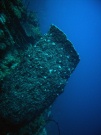 RIMG5853