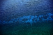 DSCF1139