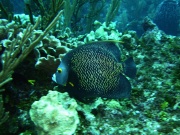 RIMG3462