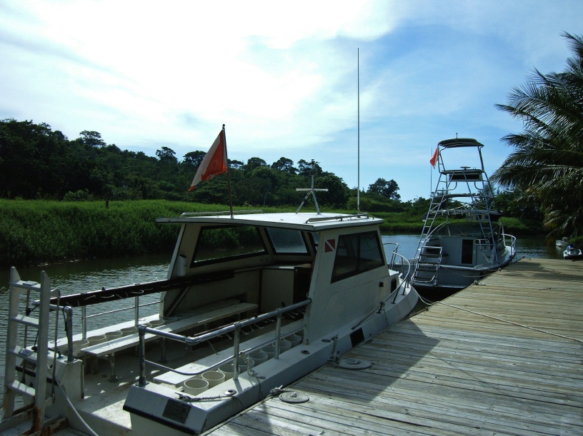 RIMG3558