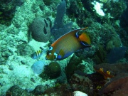 RIMG3547
