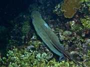 RIMG3587