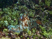 RIMG3586