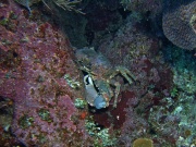 RIMG3647