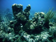 RIMG1206 (2)