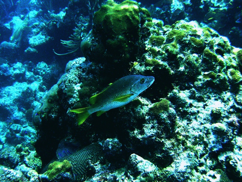 RIMG1315 (crop)