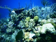 RIMG1319 (2)