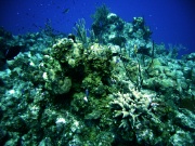 RIMG1398 (2)