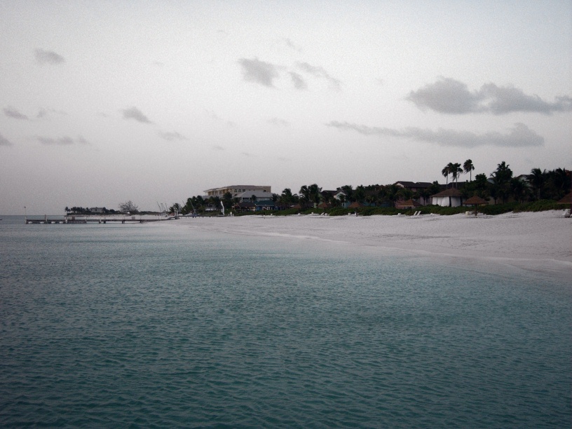RIMG1473 (2)
