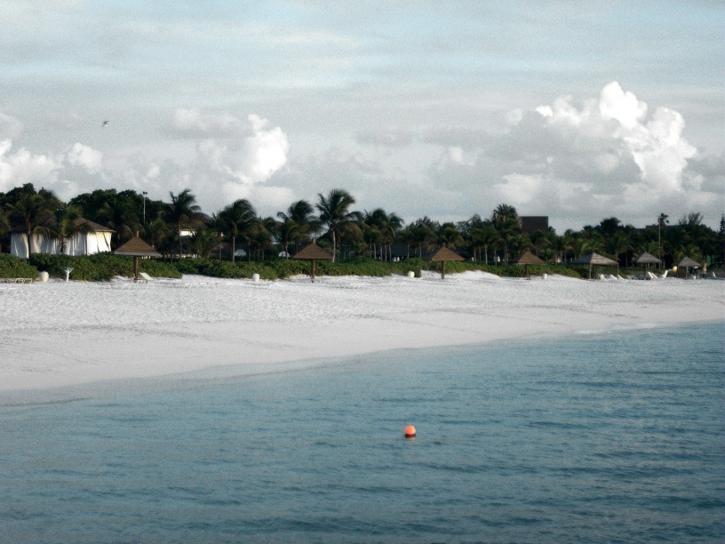 RIMG1537 (2)