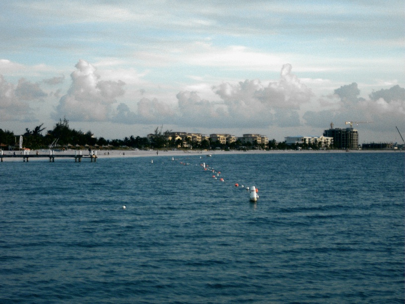 RIMG1535 (2)