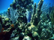RIMG1468 (2)