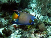 RIMG3284