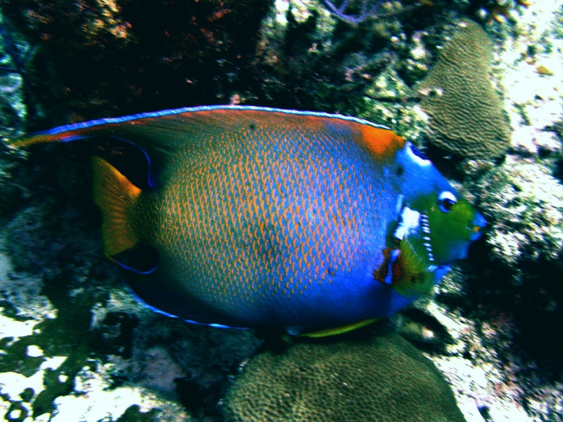 RIMG3249