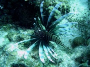 RIMG3329
