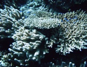 RIMG0272