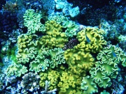 RIMG0298