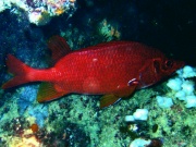 RIMG0317