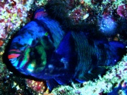 RIMG0321