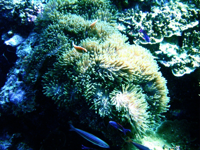 RIMG0398