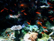 RIMG0379
