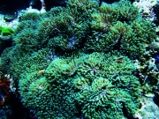 RIMG0392