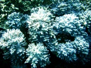 RIMG0413