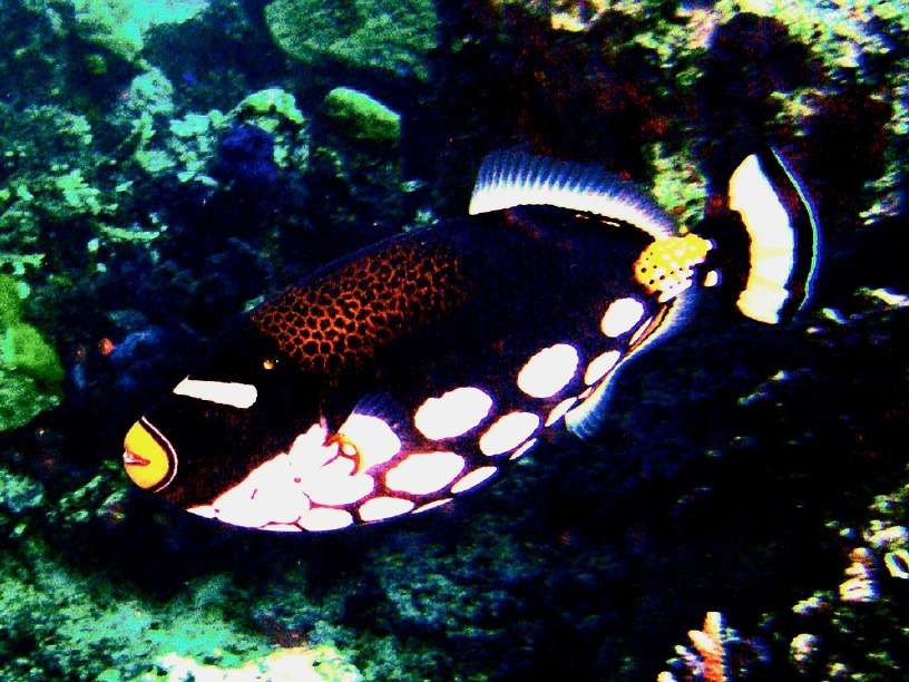 RIMG0485_crop