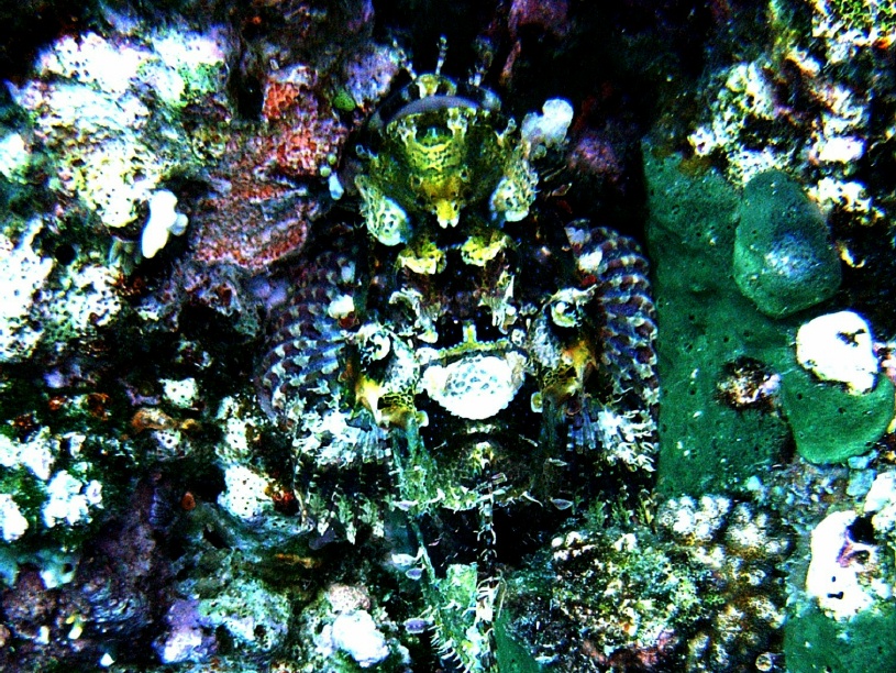 RIMG0474_crop