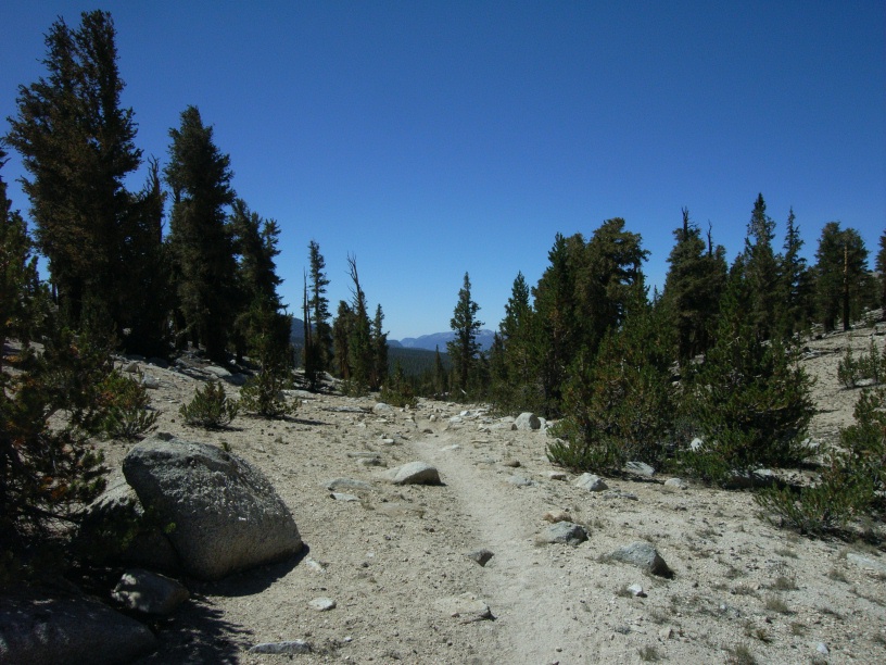 RIMG2001 (2)