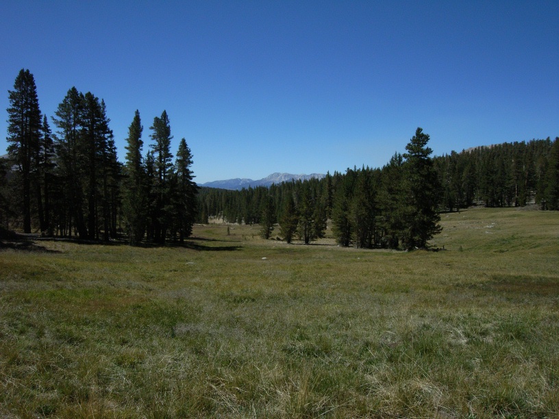 RIMG2005 (2)