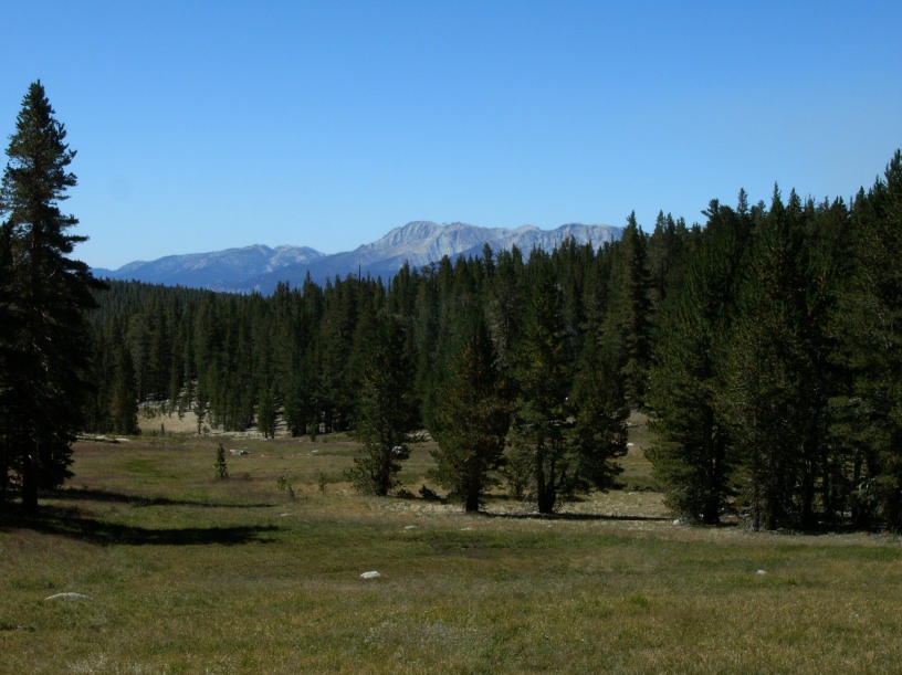 RIMG2006 (2)