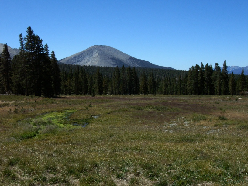 RIMG2008 (2)