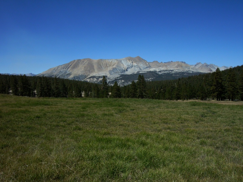 RIMG2011 (2)
