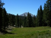 RIMG2010 (2)