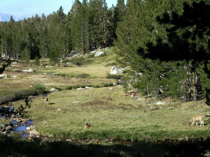 RIMG2015 (2)