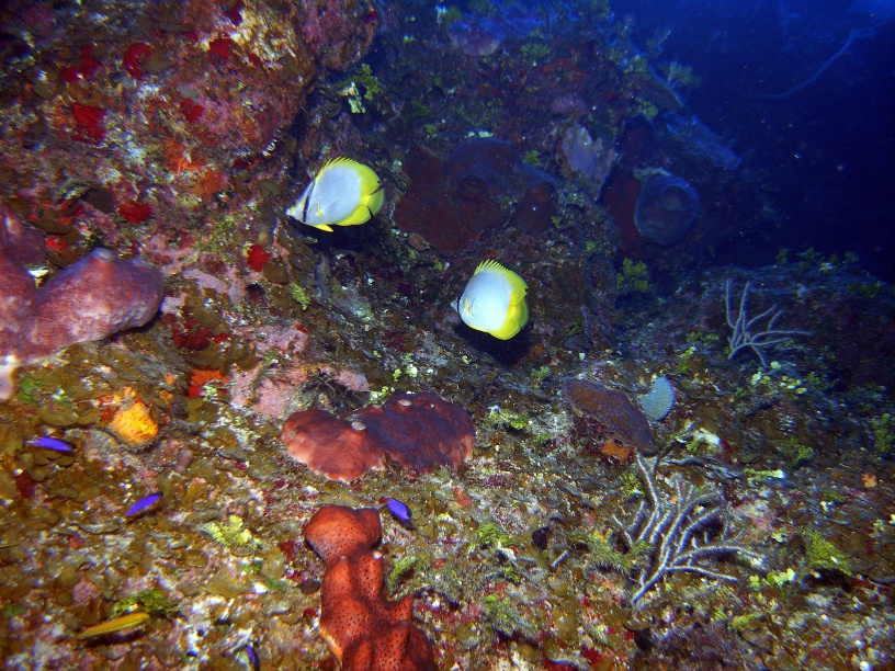 RIMG0680