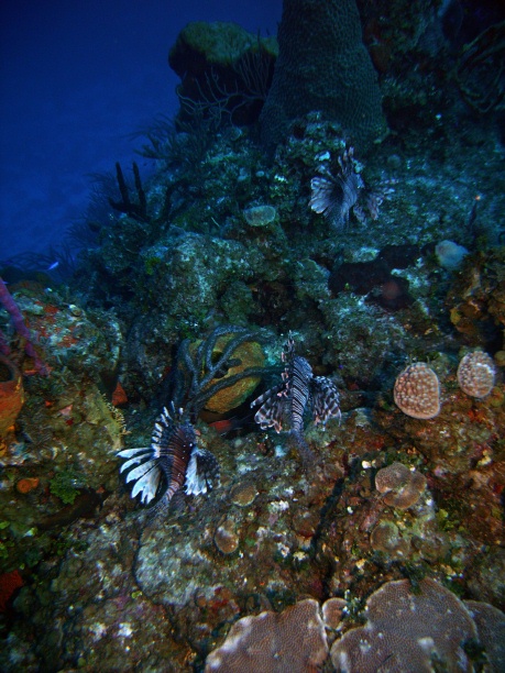 RIMG0681