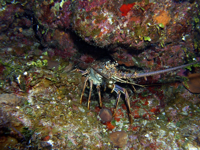 RIMG0691