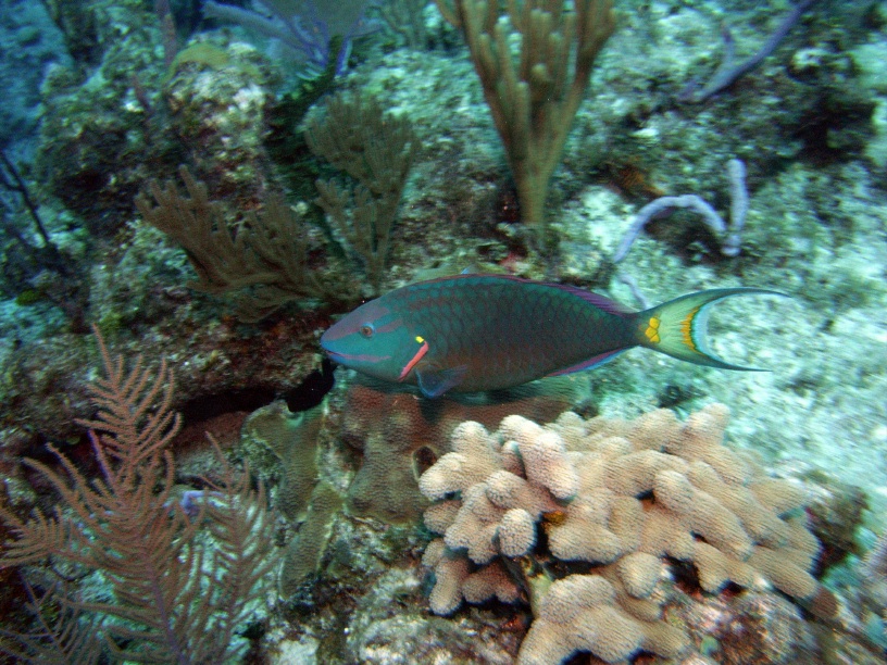 RIMG0757