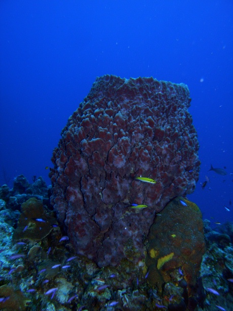 RIMG0762