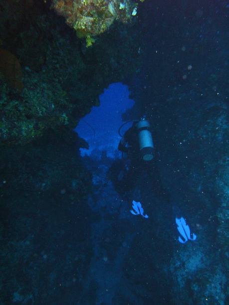 RIMG0774