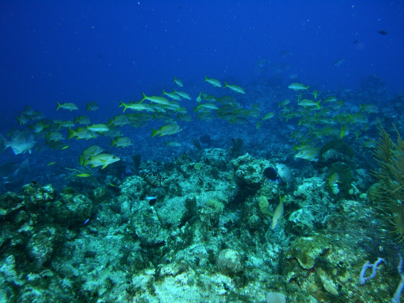 RIMG0786